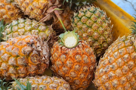 Honey Pineapplesの写真素材