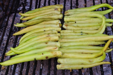 green pepperの写真素材