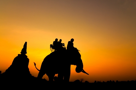 silhouette of elephants in Ayutthaya thailand.の写真素材