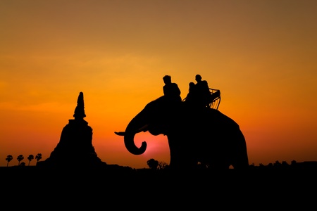 silhouette of elephants in Ayutthaya thailand.の写真素材