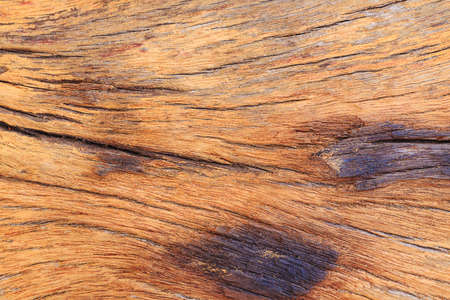 A background of woodの写真素材