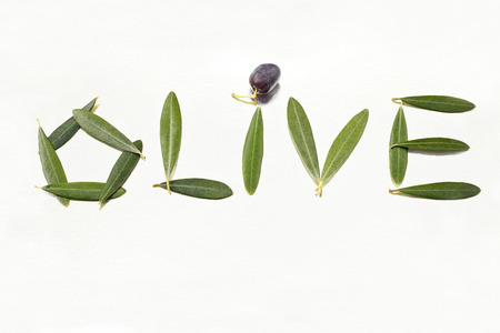 olive letters made with leaf - clipping pathの写真素材