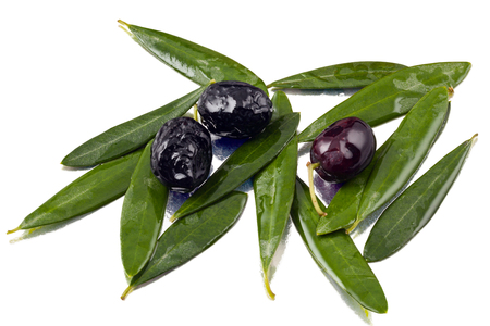 olives and olive leaves with shiny oilの写真素材