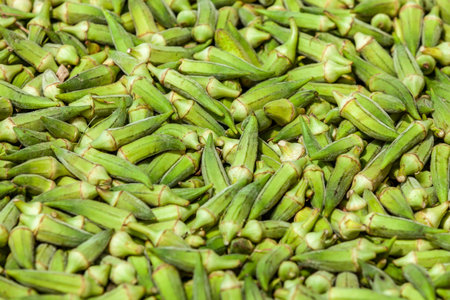 Raw Green Organic Okra (lady finger) Vegetablesの写真素材