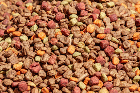 Close up of cat dried colorful food backgroundの写真素材
