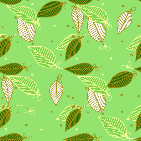 summer pattern style eucalytusの写真素材