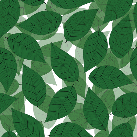 seamless hand draw leaf patternの写真素材
