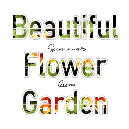 Trendy fashion T-shirtの写真素材