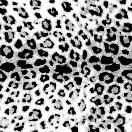 Leopard fur textureの写真素材