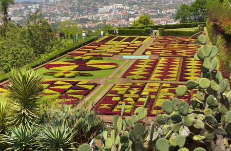 Famous Tropical Botanical Gardens in Funchal town, Madeira island, Portugalのeditorial素材