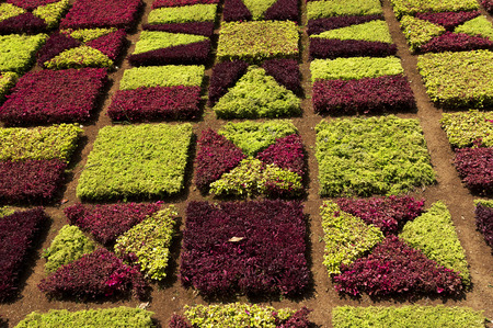 Famous Tropical Botanical Gardens in Funchal town, Madeira island, Portugalのeditorial素材