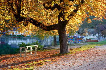 Autumn in the city park. Beautiful autumn landscape with colorful trees and bench.の写真素材