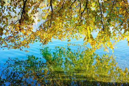 Autumn colours at Lake Bled, Slovenja, Europeの写真素材