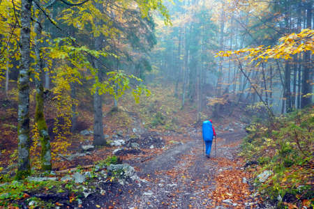 Young woman with backpack trekking in Triglav National Park, Slovenia, Europeの写真素材