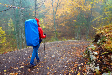 Young woman with backpack trekking in Triglav National Park, Slovenia, Europeの写真素材