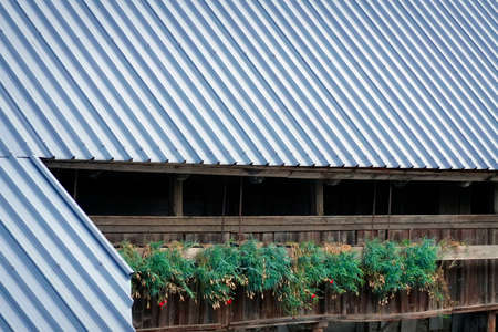 The roof of the house is covered with blue corrugated metal sheets.の写真素材