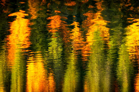 Reflection of trees in the water. Abstract background. Autumn colors.の写真素材