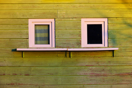 Two windows on a green wooden wall.の写真素材