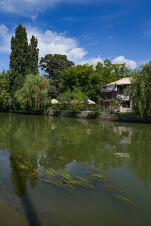 Tranquil pond in the city park. Summer landscape.の写真素材