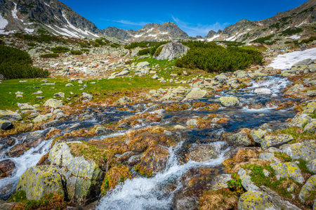 Spring landscape in Retezat Mountains, Romania, Europeの写真素材