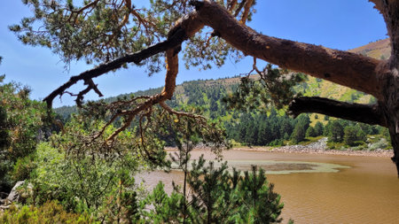 Breathtaking Natural Landscape, Lake Surrounded by Lush Greenery and Rocky Mountainsの写真素材