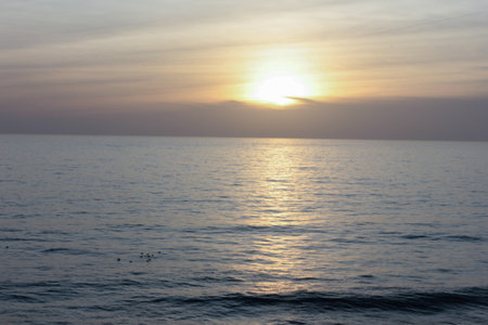 Golden sunset illuminating calm ocean with birds floating on water surfaceの写真素材