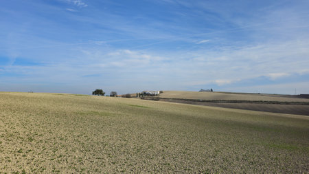 Expansive Agricultural Fields Under Clear Blue Sky with Distant Farmhouseの写真素材