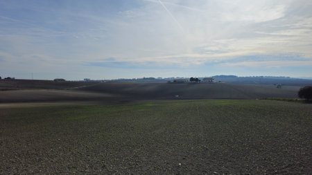 Expansive Agricultural Landscape with Fields Under a Clear Skyの写真素材