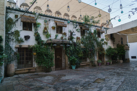 Enchanting Cobblestone Street, Vintage Building with Hanging Plantsの写真素材