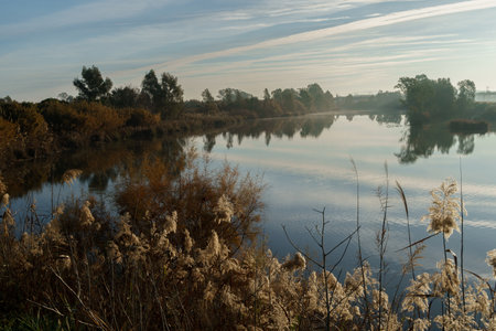 Serene Morning Reflections on a Tranquil Lake Surrounded by Autumn Foliageの写真素材