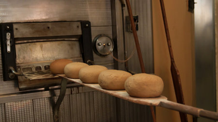Raw bread dough on a wooden paddle entering an industrial oven