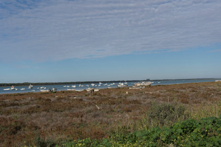Serene Coastal Landscape with Moored Boats under Cloudy Skyの写真素材