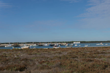 Serene Harbor View with Anchored Boats under Clear Blue Skyの写真素材