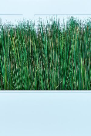 Background with a white flower bed for design solutionsの写真素材