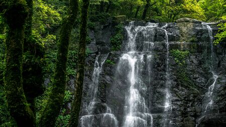A natural beauty waterfall scenery in the mountain of Taiwan. View of the beautiful nature landscape...