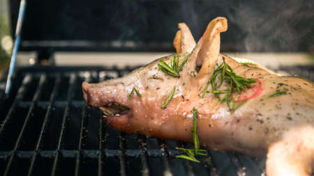 BBQ whole grilled pig in garden house. Home cooking of crispy roasted pork. Close up of piglet roast...