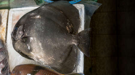 A stall vendor selling live fish and various ingredients in a popular marketplace where many...