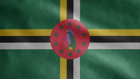 Dominican flag waving in the wind. Close up of Dominica banner blowing, soft and smooth silk. Cloth fabric texture ensign background. Use it for national day and country occasions concept.の写真素材
