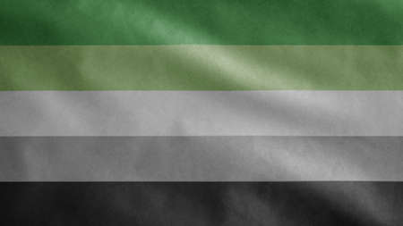 Aromantic flag waving in the wind. Close up of aromanticism banner blowing, soft and smooth silk. Cloth fabric texture ensign background.の写真素材