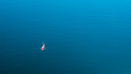 The beautiful Koi Carp fish swimming in the clear river. Colorful fancy golden carps swam to the...