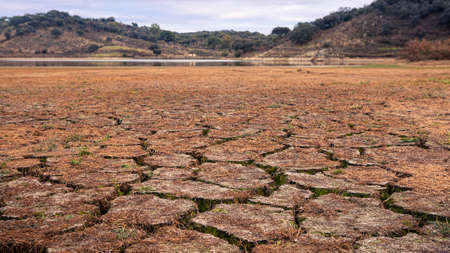 Climate change, land with dry and cracked ground in Spain. Soil drought landscape. Water crisis, cracks earth near drying water. Waterless ground. Natural disasters desert backgroundの写真素材