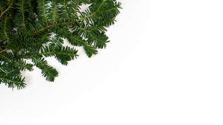 Frame of green pine branch isolated on white background and space for text. Top view of christmas fir tree branches and cones for decoration banner and New Year concept.の写真素材