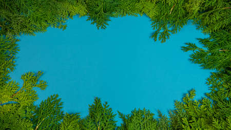Christmas border with space for design. Beautiful green fir tree branches decor on blue banner....