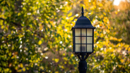 Decorative small lantern between the foliage trees. Garden glowing decoration light in the park at day. Outdoor lights design illuminating a walkwayの写真素材