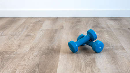 Exercise with two blue dumbbells, preparing for sports training at house indoor. Fitness workout exercises at home.の写真素材