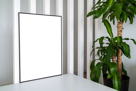 Modern panel with plant in an office room. Minimalist black frame mockup on white background for the design of advertisements. Square frame against a wall.の写真素材