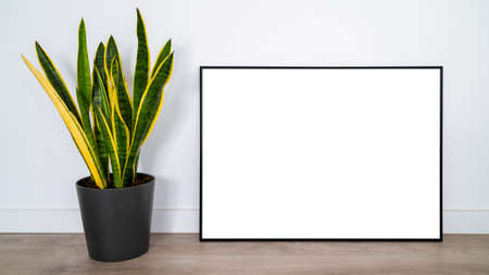 White poster on wood floor with black frame and plant mockup for you design. Layout mock up good use...