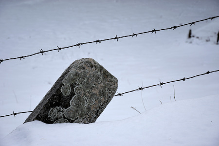 Barbed wire and mossy stone on snowの写真素材