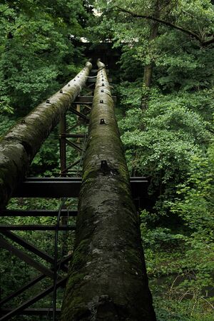 vertical background of tube above  river in forestの写真素材