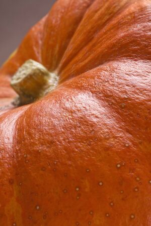 Close-up view of Pumpkin on brown background. Natural.  Soft focus.の写真素材